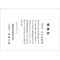 B4ヨコ型（2）
