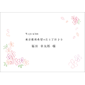 洋形2号（ヨコ 花）