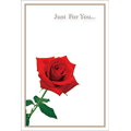 For You（2）