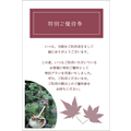 越前和紙　和風（4）