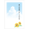 暑中お見舞い（1）