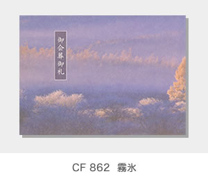 CF 862  霧氷