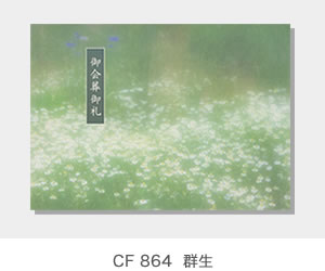 CF 864  群生