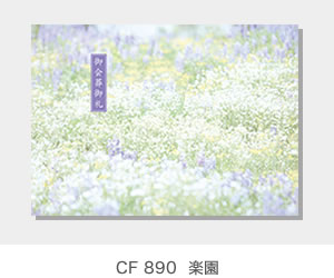 CF 890  楽園