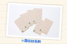 間伐材名刺
