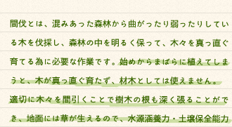 間伐とは、混みあった森林から曲がったり弱ったりしている木を伐採し、森林の中を明るく保って、木々を真っ直ぐ育てる為に必要な作業です。始めからまばらに植えてしまうと、木が真っ直ぐ育たず、材木としては使えません。適切に木々を間引くことで樹木の根も深く張ることができ、地面には草が生えるので、水源涵養力・土壌保全能力の高い森林になります。そこで伐採された材木（間伐材）を利用して作られるのが間伐材製品です。効率の良い資源活用と森林の育成につながる、森を助けるエコロジーです。