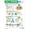 植林木と森林認証（2007/03）